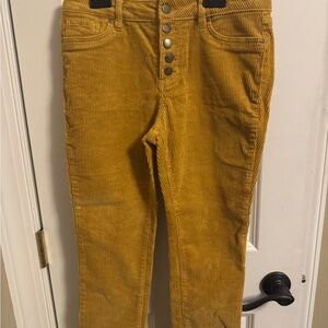 d. jeans Golden Corduroy Trousers